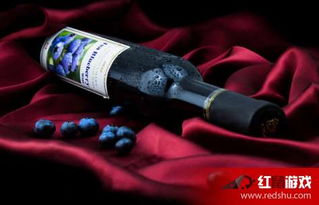 喝果酒的好處 什么果酒好喝