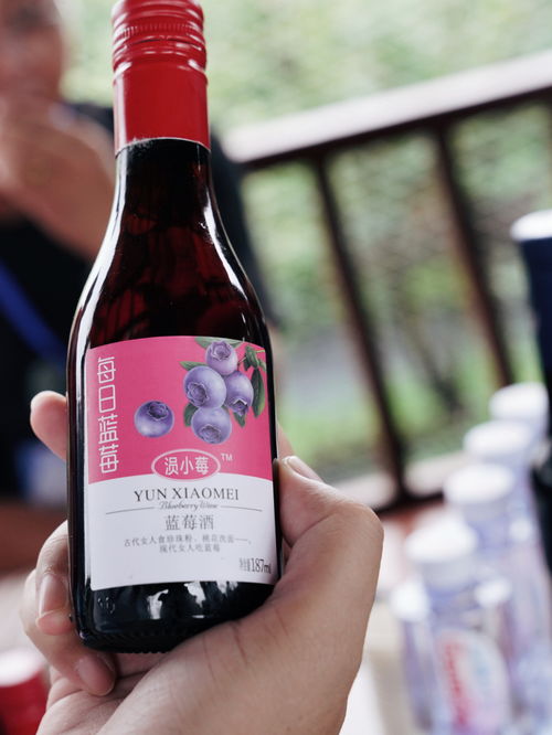 湖北安陸趙棚鎮(zhèn) 小藍莓帶村民脫貧致富,昔日荒山成金山銀山