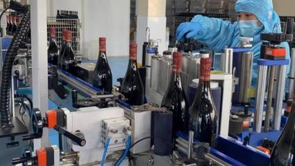 好品山東|青島西海岸新區(qū):著力做強精深加工 加快藍莓全產(chǎn)業(yè)鏈發(fā)展