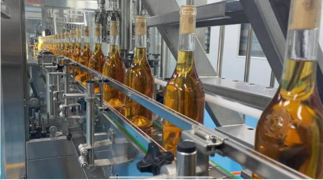 青島紫斐:匠心筑夢,打造藍(lán)莓酒界的中國“拉菲”