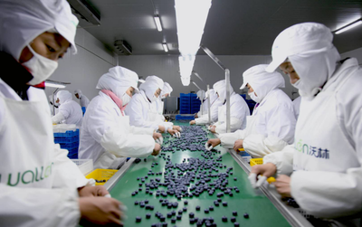 青島西海岸新區(qū)2021“黃島藍(lán)莓季”即將啟幕