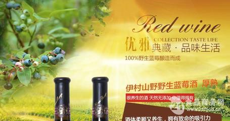 藍(lán)莓干紅(中國 青島)-山東伊春山野商貿(mào)