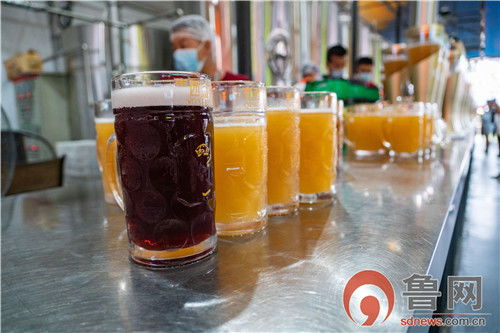 醉 鮮爽 醉 狂歡 第31屆青島國(guó)際啤酒節(jié)青西金啤大篷等你來嗨